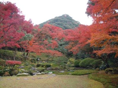 清水寺本坊庭園の紅葉(秋のみやま市)